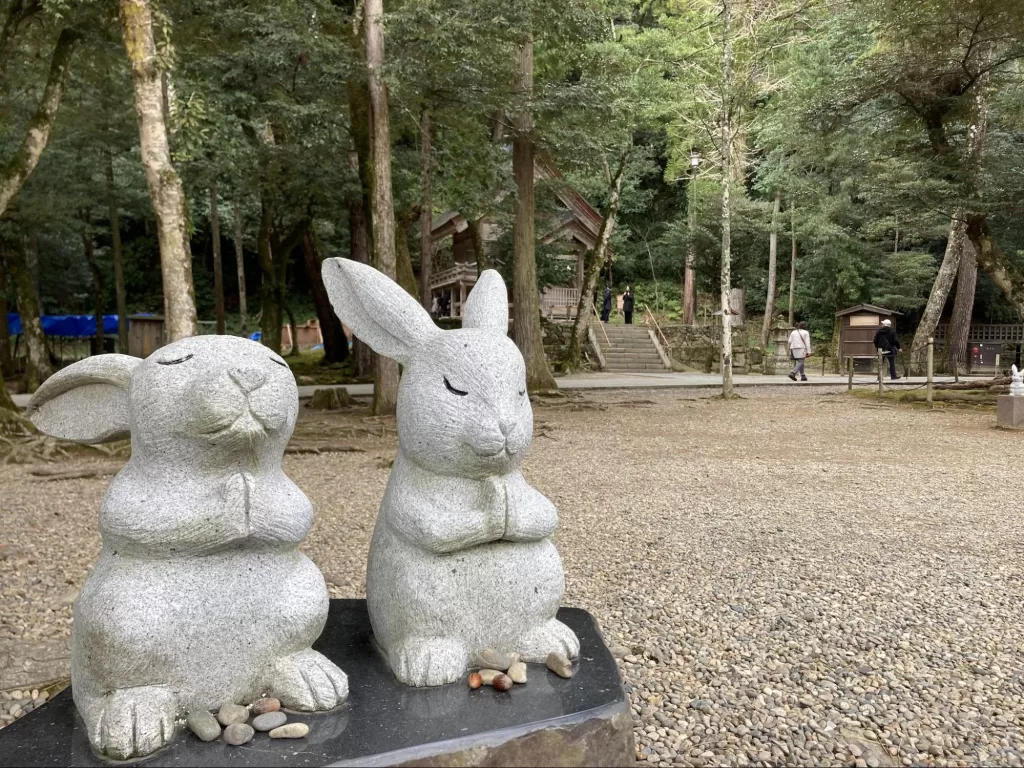 Izumo taisha rabbit