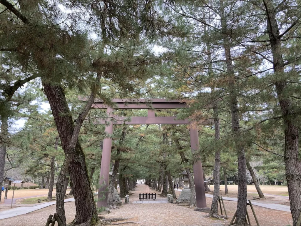 Izumo taisya's torii