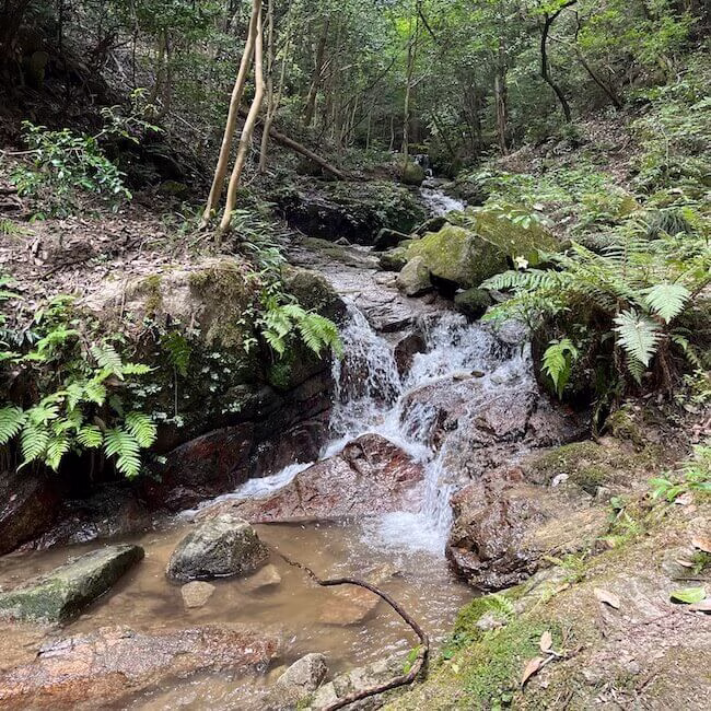 Mountain stream